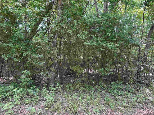 Tract 23 Juniper Rd, Home with 0 bedrooms, 0 bathrooms and null parking in Big Sandy TX | Image 5