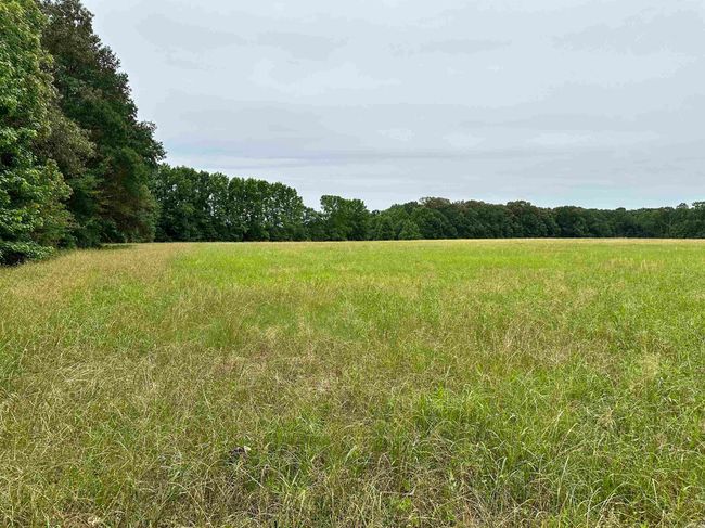 000 Oak Dale Rd, Home with 0 bedrooms, 0 bathrooms and null parking in Lonoke AR | Image 8