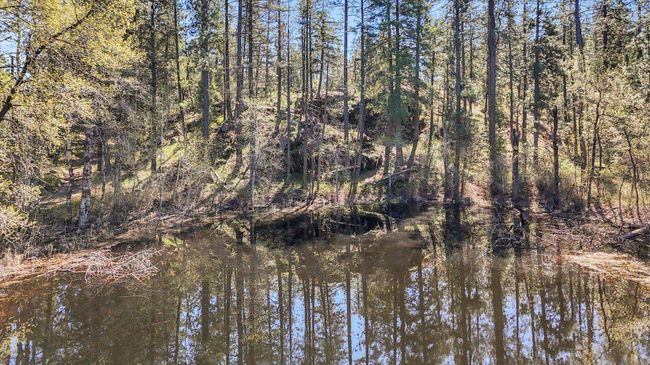 5882 Carey Rd, House other with 5 bedrooms, 3 bathrooms and null parking in Tumtum WA | Image 43