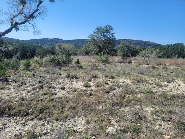 665 Whitewater Dr, Home with 0 bedrooms, 0 bathrooms and null parking in Bertram TX | Image 7