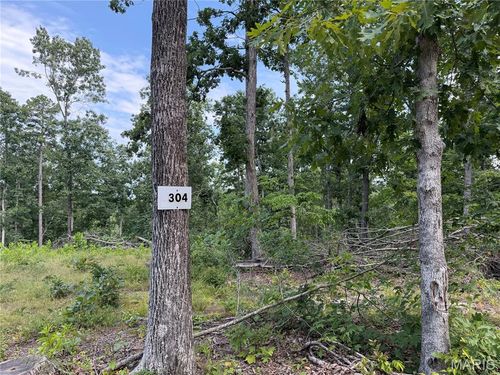 #304 Madison 410, Fredericktown, MO, 63645 | Card Image