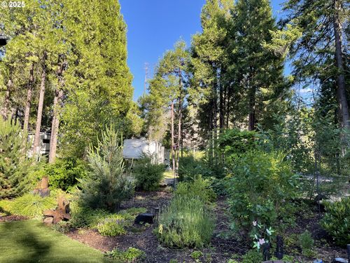 18-54432 Mckenzie Hwy, Blue River, OR, 97413-9650 | Card Image