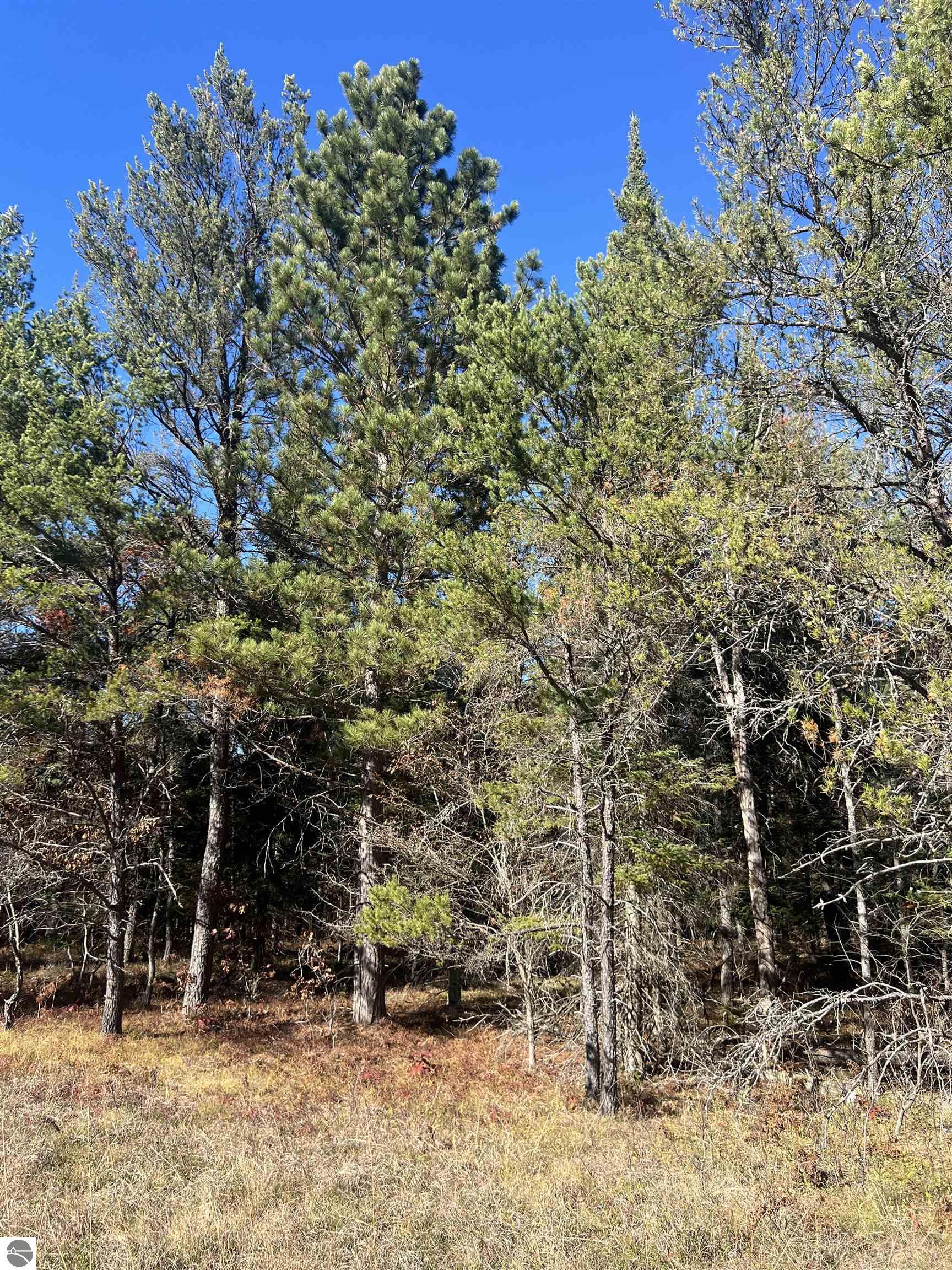 Land in Grayling 2