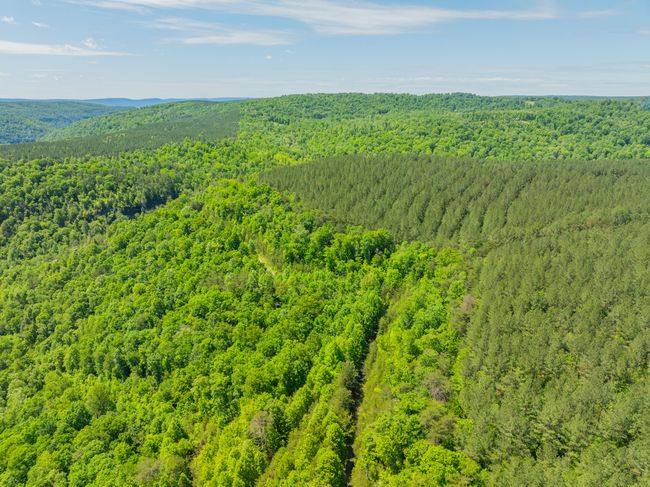 0 Echo Point Rd, Home with 0 bedrooms, 0 bathrooms and null parking in Dunlap TN | Image 27