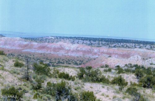 115-000 N6315 --, St Johns, AZ, 85936 | Card Image