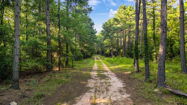 TBD 17.57 ACRES Fm 2274, Home with 1 bedrooms, 1 bathrooms and null parking in Troup TX | Image 14
