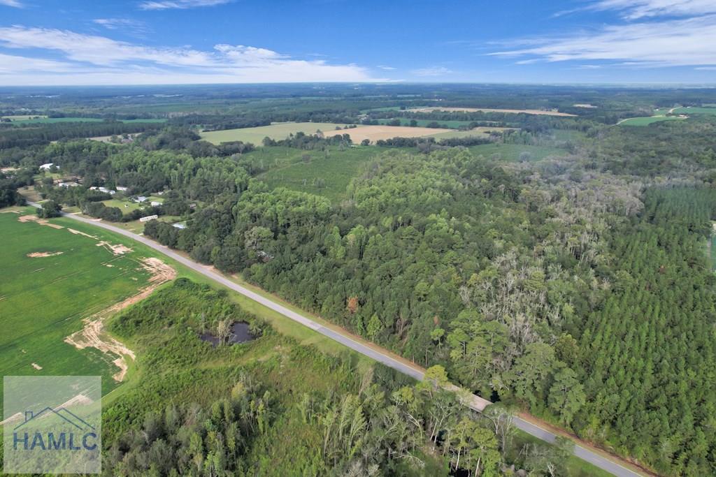 Land in Screven 2