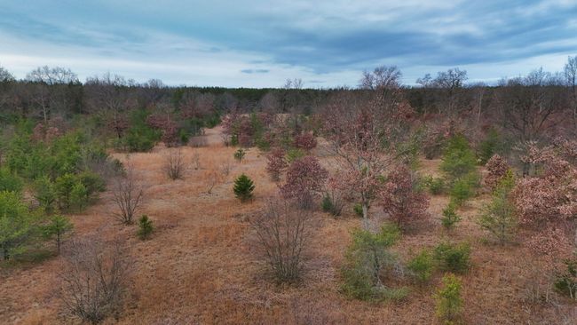 3726 N Custer Rd, Home with 0 bedrooms, 0 bathrooms and null parking in Manistee MI | Image 7