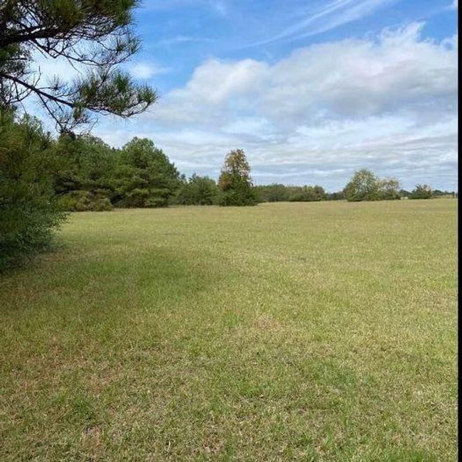 0 Highway 41 S, Home with 0 bedrooms, 0 bathrooms and null parking in Foreman AR | Image 6
