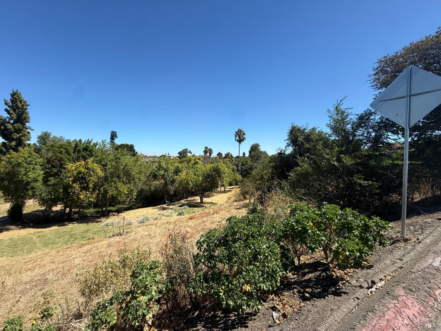 Land in Antioch 5