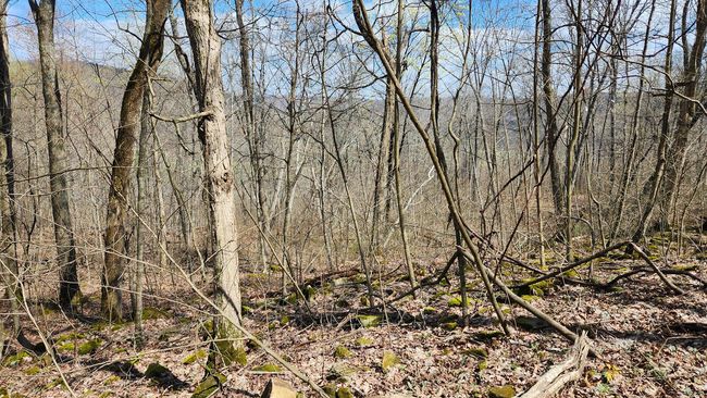 TRACT-1-PIKE-LAKE-GETAWA - 0 Pike Lake Rd, Home with 0 bedrooms, 0 bathrooms and null parking in Bainbridge OH | Image 39