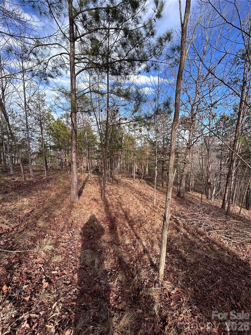 224-254 Stoney Creek Dr, Nebo, NC, 28761-5517 | Card Image