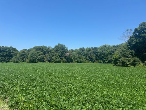 00 Vinzant East Road, Brazil, IN, 47834 | Card Image