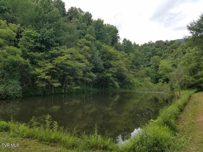 251 Fee Trl, House other with 6 bedrooms, 6 bathrooms and null parking in Ewing VA | Image 59