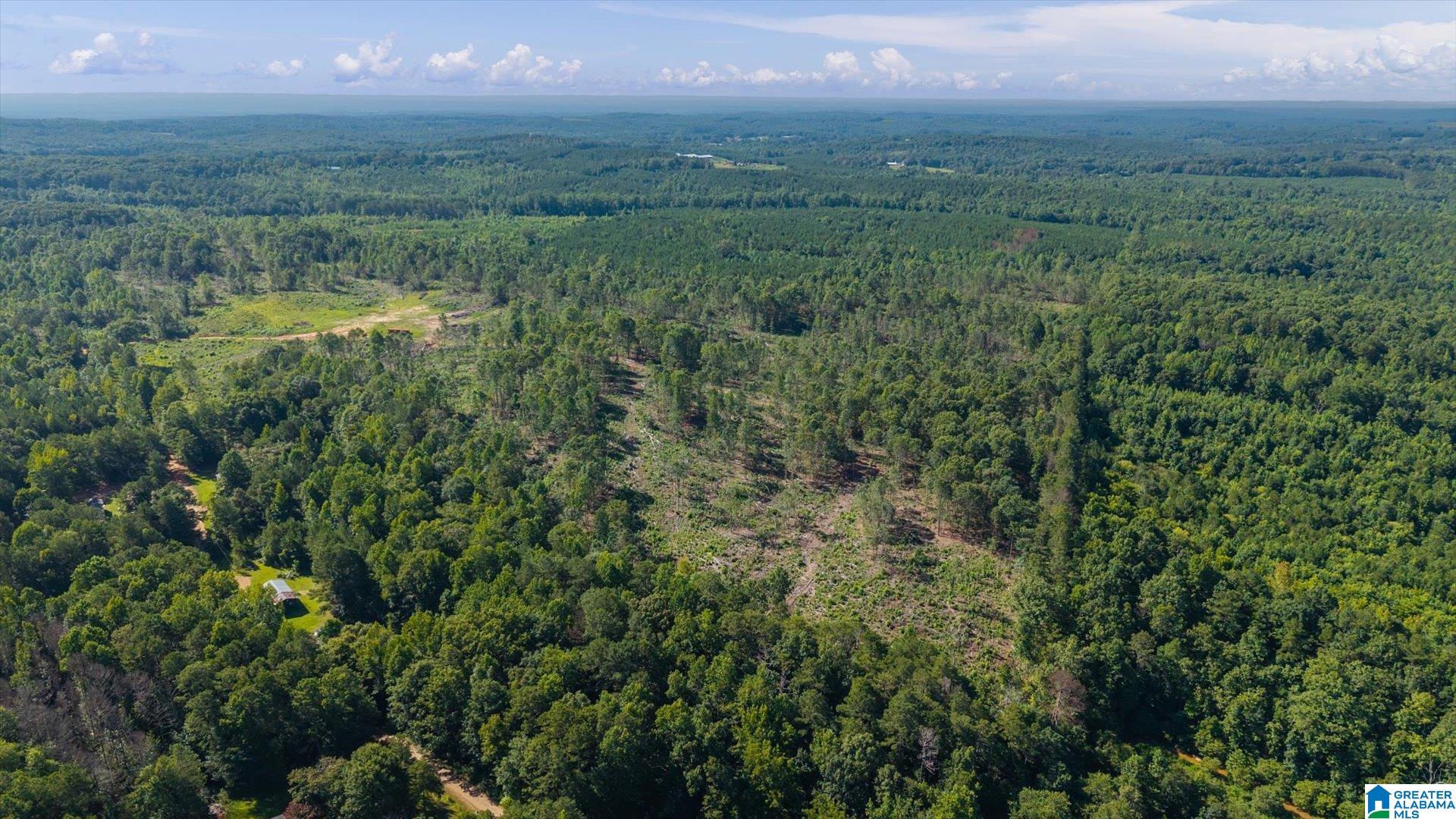 Land in HEFLIN 3