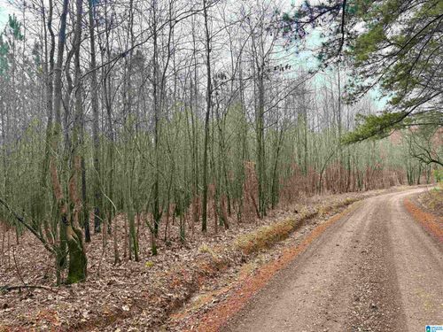 1-0 County Road 670, Ranburne, AL, 36273 | Card Image