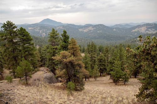 71 Lookout Ln, Cascade, MT, 59421-8500 | Card Image