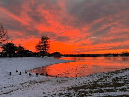 1165 Clearwater Dr, Frisco, TX, 75036-5091 | Card Image