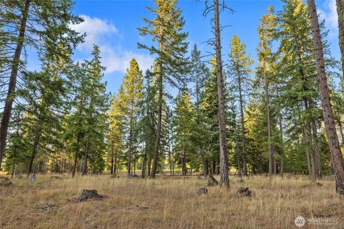 32 Domerie Bay Rd, Ronald, WA, 98940-0358 | Card Image