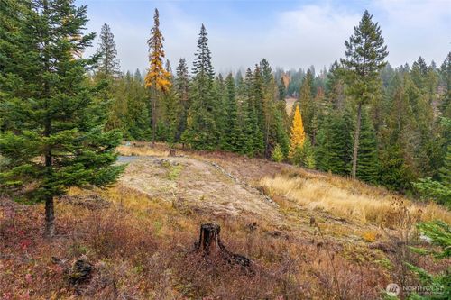 b-717 Finley Gulch Rd, Colville, WA, 99114-9102 | Card Image