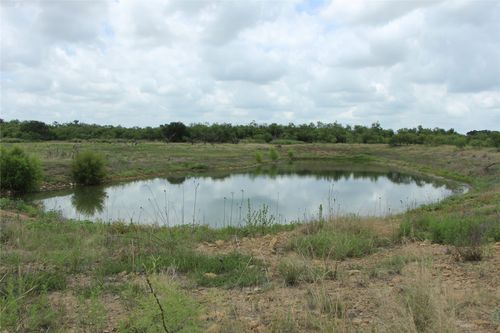 2010 County Road 132, Moran, TX, 76464-2216 | Card Image