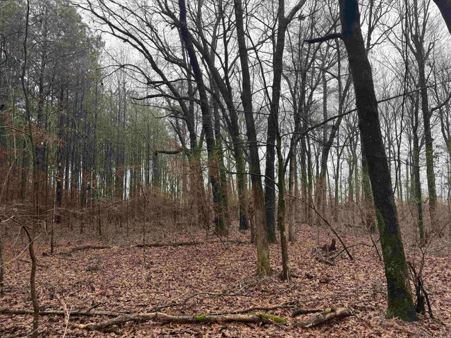 000 Ashley Road 912, Home with 0 bedrooms, 0 bathrooms and null parking in Hamburg AR | Image 24