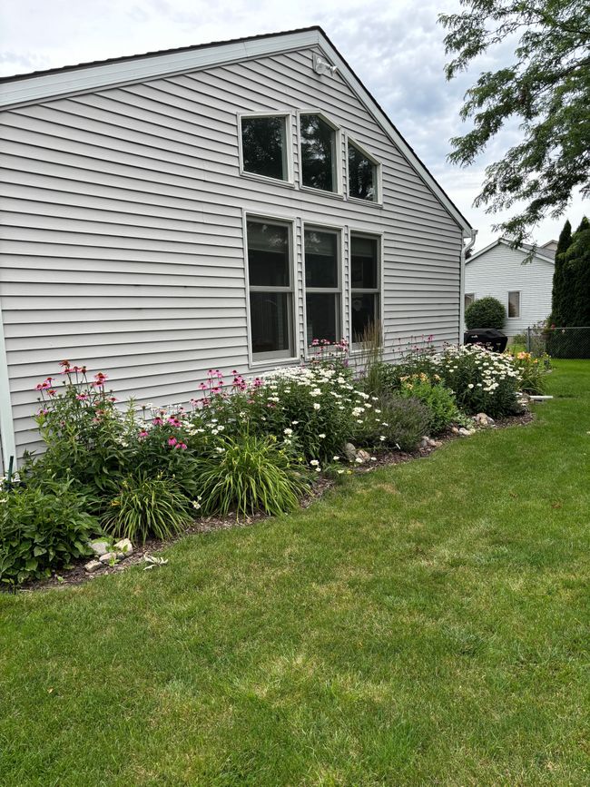 Summer Flowers | Image 49