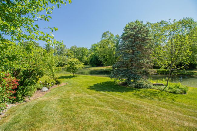 Large backyard | Image 30