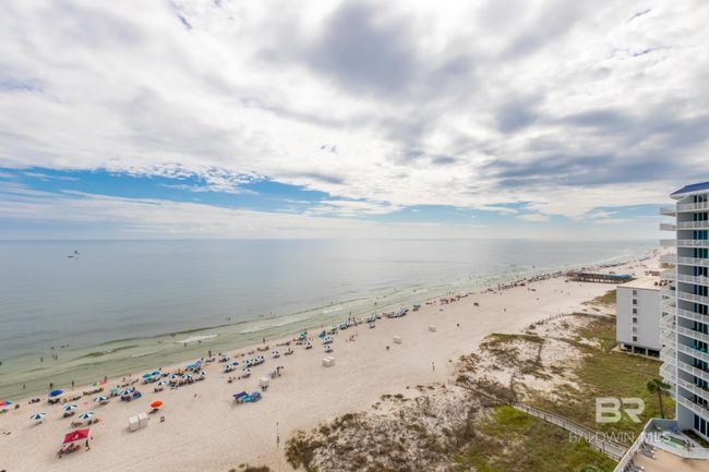 View | Image 19