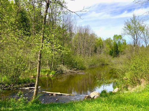 1458 Woodlawn Rd, Pickerel, WI, 54465 | Card Image