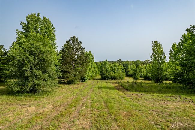 0 Johnson Rd, Home with 0 bedrooms, 0 bathrooms and null parking in Winona TX | Image 4