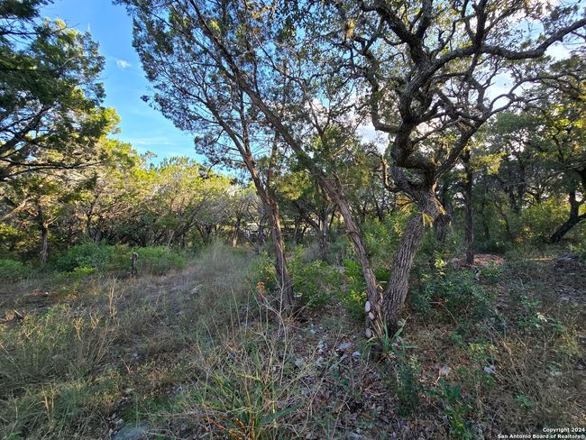 15822 White Fawn Dr, Home with 0 bedrooms, 0 bathrooms and null parking in San Antonio TX | Image 16