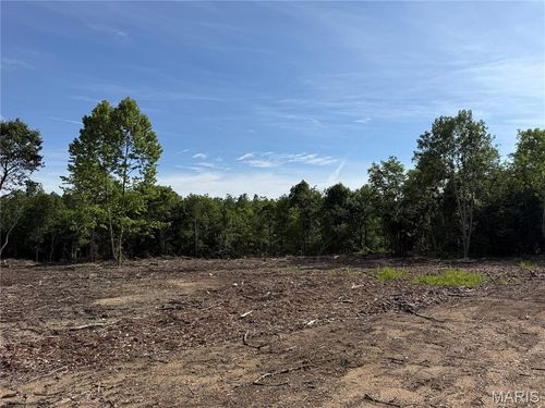Tract 1 Hidden Valley, Annapolis, MO, 63628 | Card Image