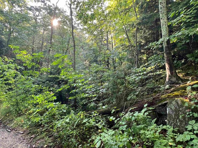 Map 6, Lot 38 Chadwick Hill Road, Home with 0 bedrooms, 0 bathrooms and null parking in Webster NH | Image 17