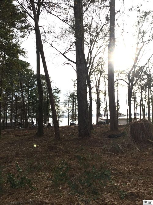 000 Wildwood Drive, Farmerville, LA, 71241 | Card Image