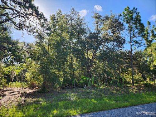 6373 N Earlshire Ter, Citrus Springs, FL, 34434-8048 | Card Image