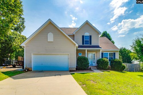 316 Turkey Beard Ct, Chapin, SC, 29036-7326 | Card Image