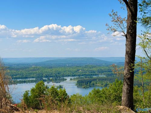 Lot 7 County Road 224, Dutton, AL, 35744-7207 | Card Image