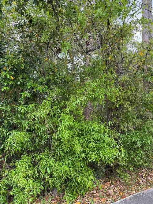 253 E Highbanks Road, DEBARY, FL, 32713 | Card Image