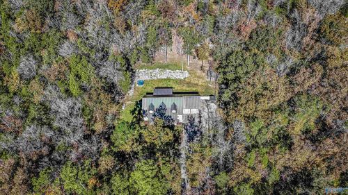 16735 County Road 8, Woodville, AL, 35776-6022 | Card Image