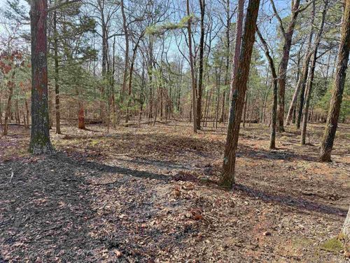 000 Arrowhead Rd, Mountain View, AR, 72560 | Card Image