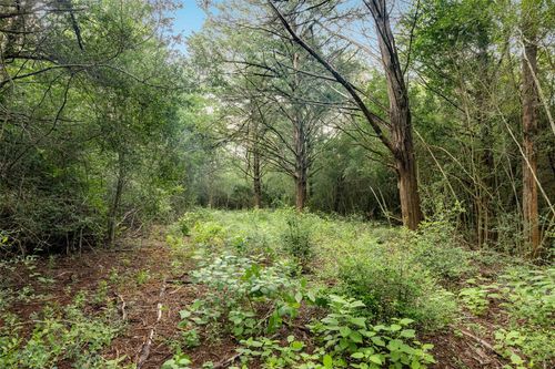 TBD Homestead Ln, Burton, TX, 77835 | Card Image