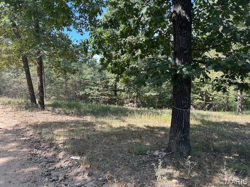 1087 Main St, Annapolis, MO, 63620 | Card Image