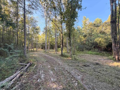 0 Pleasant View Church Rd., Nichols, SC, 29581 | Card Image