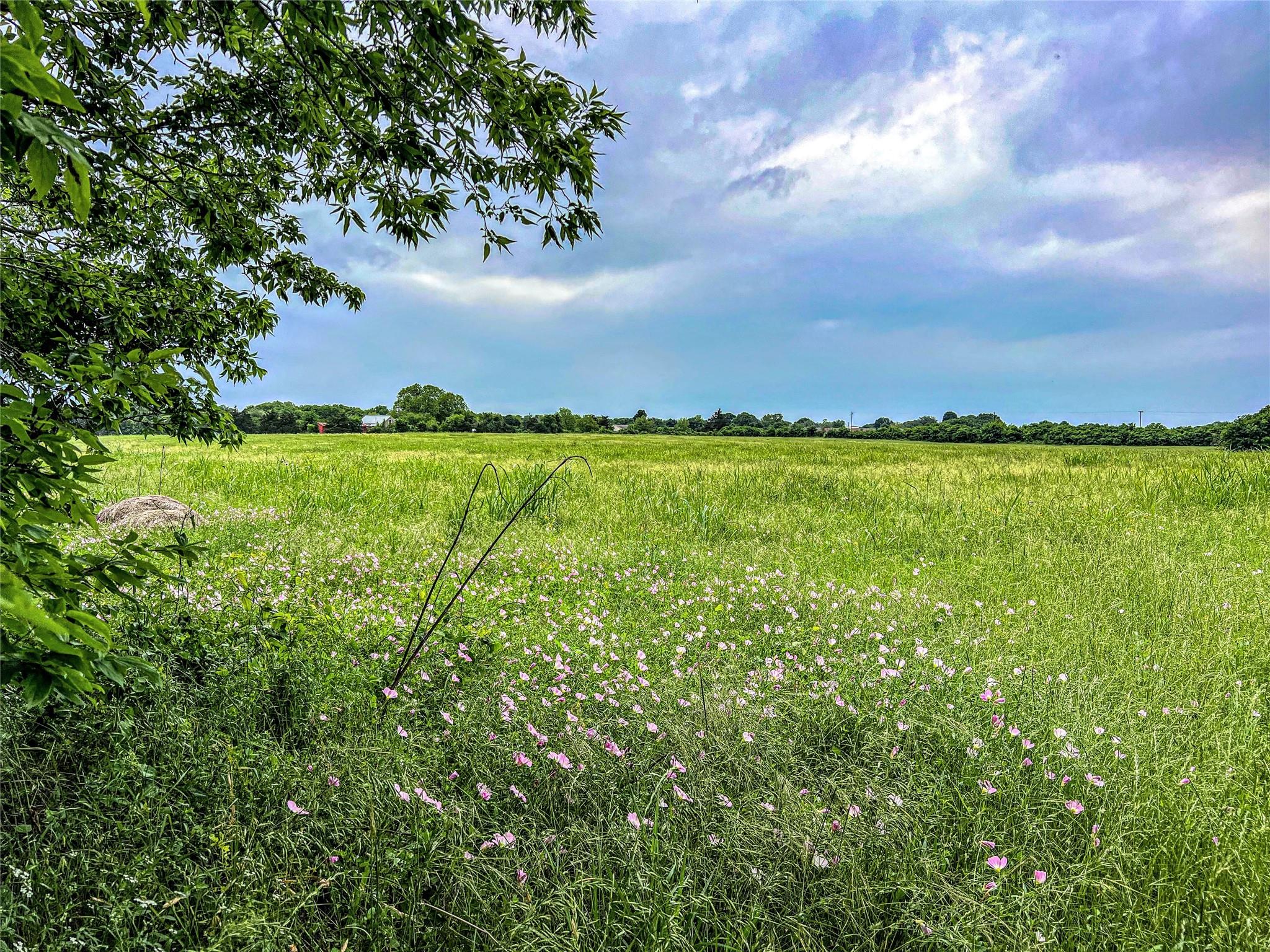 Land in Brenham 4