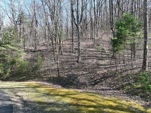 66 Saint Andrews Way, Ellijay, GA, 30536 | Card Image