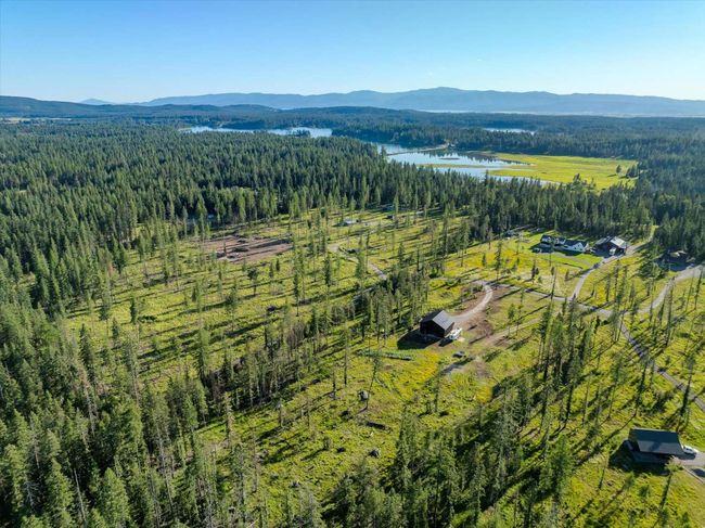 Drone / aerial view of a forest and a water and mountain view | Image 71