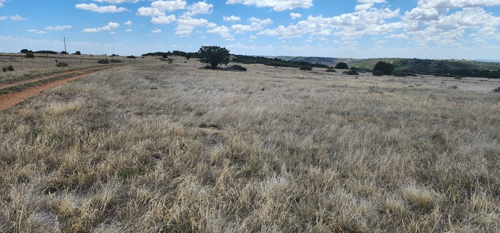 Land in Colorado City 2
