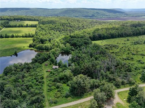 7702 Faber Road, Prattsburgh, NY, 14873 | Card Image
