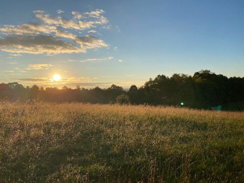 TBD Reedsville Rd, Floyd, VA, 24091 | Card Image